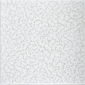 Dalle de plafond Basic CORTEGA 704 Tegular 600x600mm 15mm