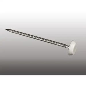 Pointes Inox 4cm tête PVC blanc - Boite de 250 